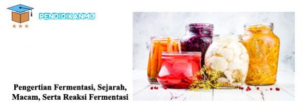 Pengertian Fermentasi, Sejarah, Macam, Serta Reaksi Fermentasi