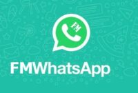 FMWhatsapp Apk